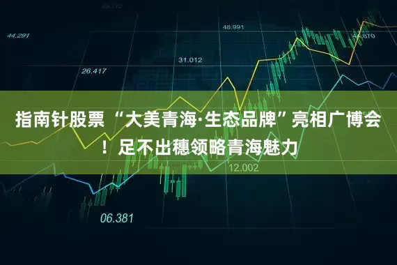 指南针股票 “大美青海·生态品牌”亮相广博会！足不出穗领略青海魅力