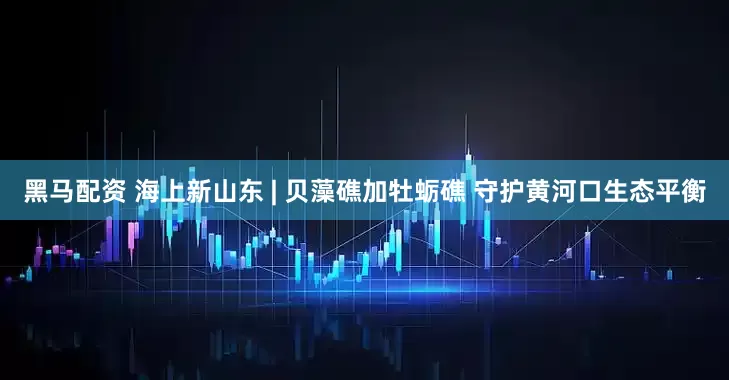 黑马配资 海上新山东 | 贝藻礁加牡蛎礁 守护黄河口生态平衡