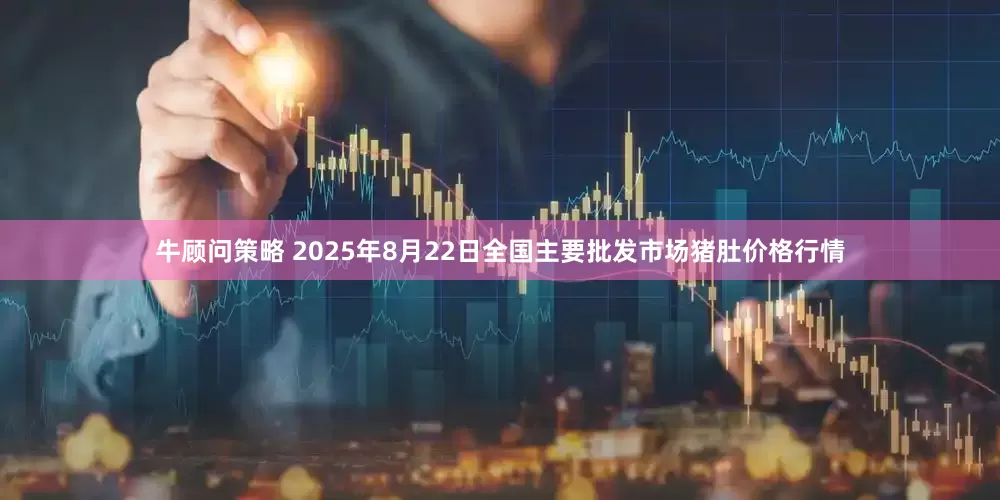 牛顾问策略 2025年8月22日全国主要批发市场猪肚价格行情