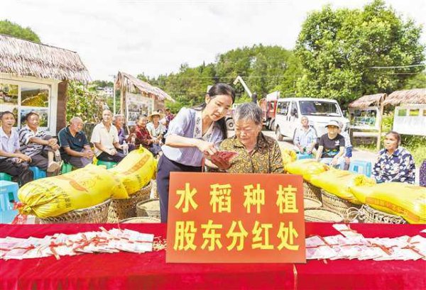 纯旭配资 重庆南川: 种地有分红 村民好开心